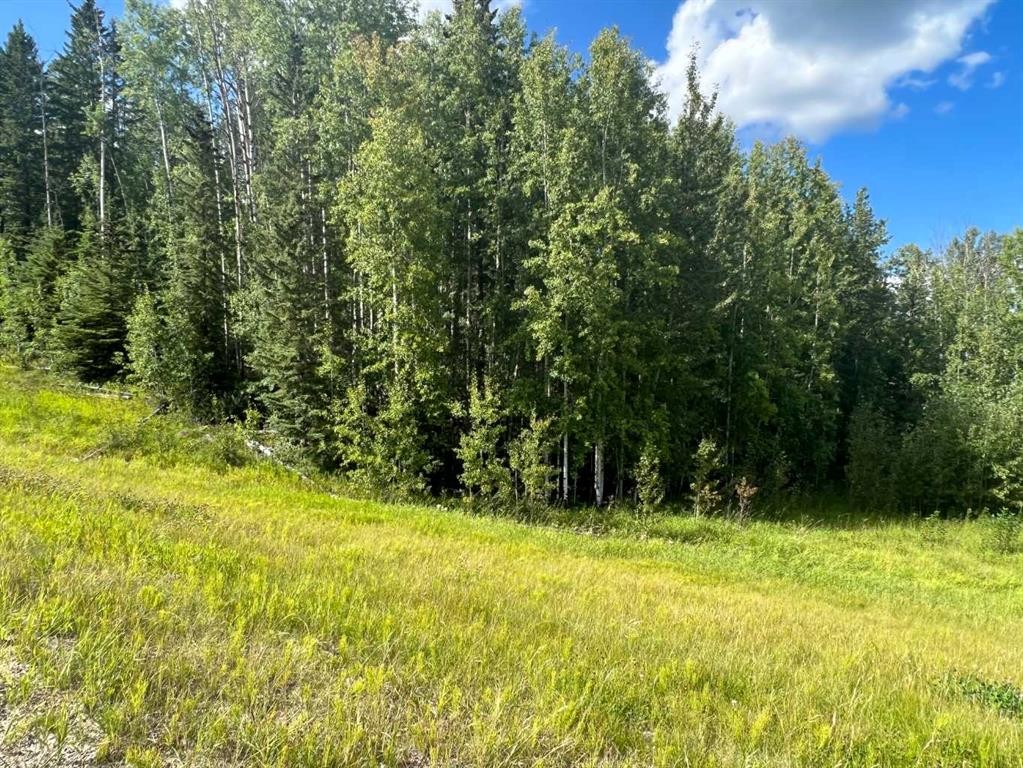 #43 River Ridge Estates, Rural Yellowhead County, AB