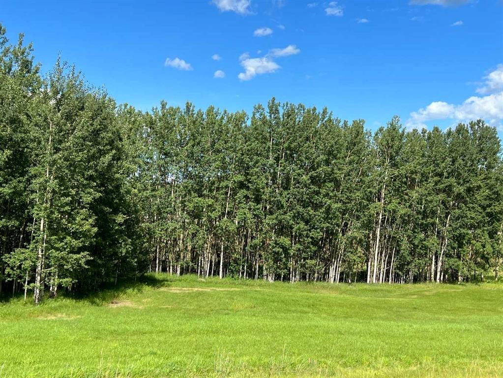 #43 River Ridge Estates, Rural Yellowhead County, AB