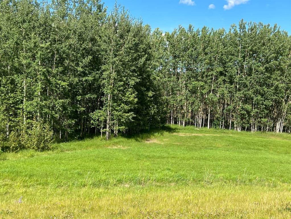 #43 River Ridge Estates, Rural Yellowhead County, AB