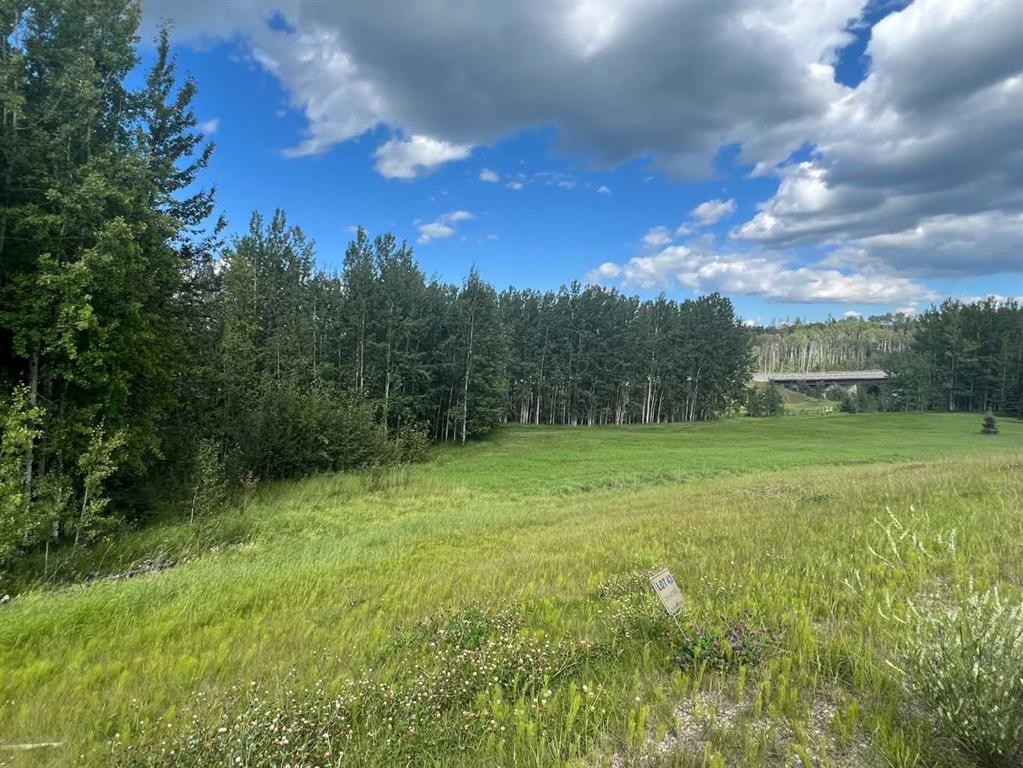 #43 River Ridge Estates, Rural Yellowhead County, AB