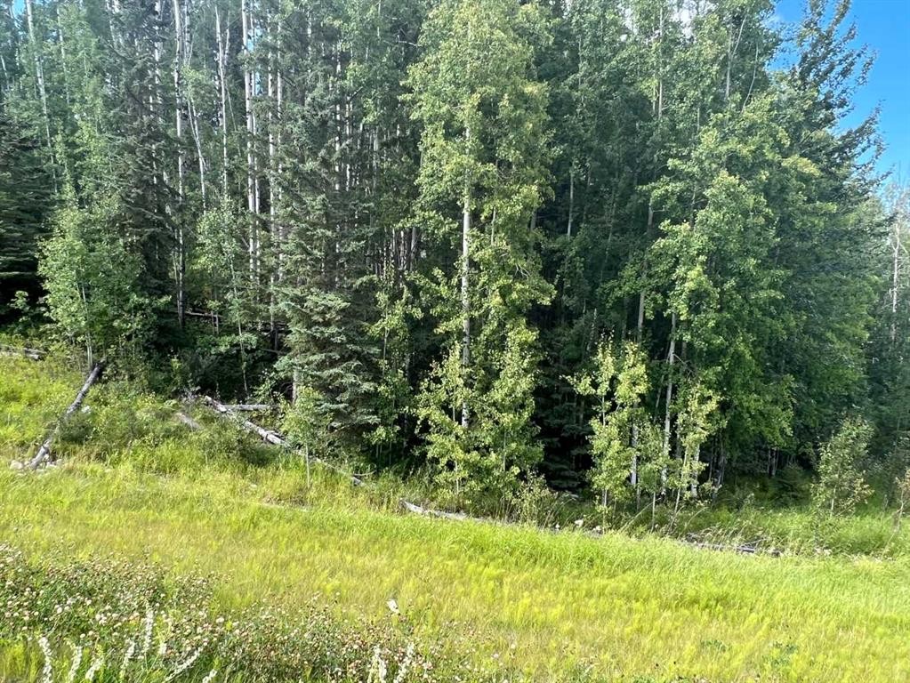 #43 River Ridge Estates, Rural Yellowhead County, AB