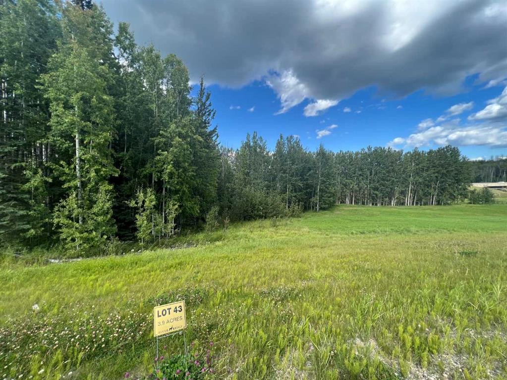 #43 River Ridge Estates, Rural Yellowhead County, AB