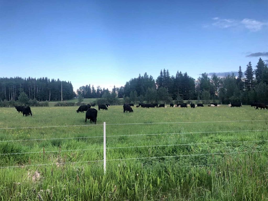 Nw-4-54 -17-W5, Rural Yellowhead County, AB