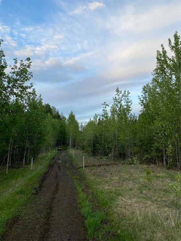 Nw-4-54 -17-W5, Rural Yellowhead County, AB