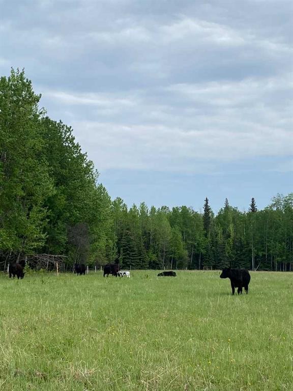 Nw-4-54 -17-W5, Rural Yellowhead County, AB