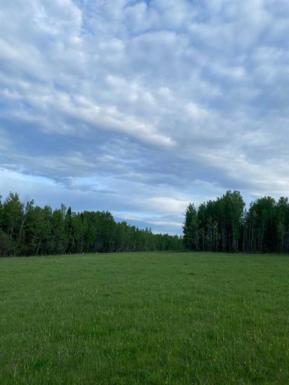 Nw-4-54 -17-W5, Rural Yellowhead County, AB