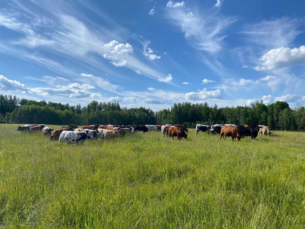 Nw-4-54 -17-W5, Rural Yellowhead County, AB