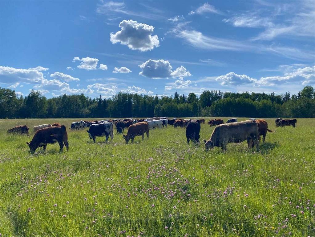 Nw-4-54 -17-W5, Rural Yellowhead County, AB