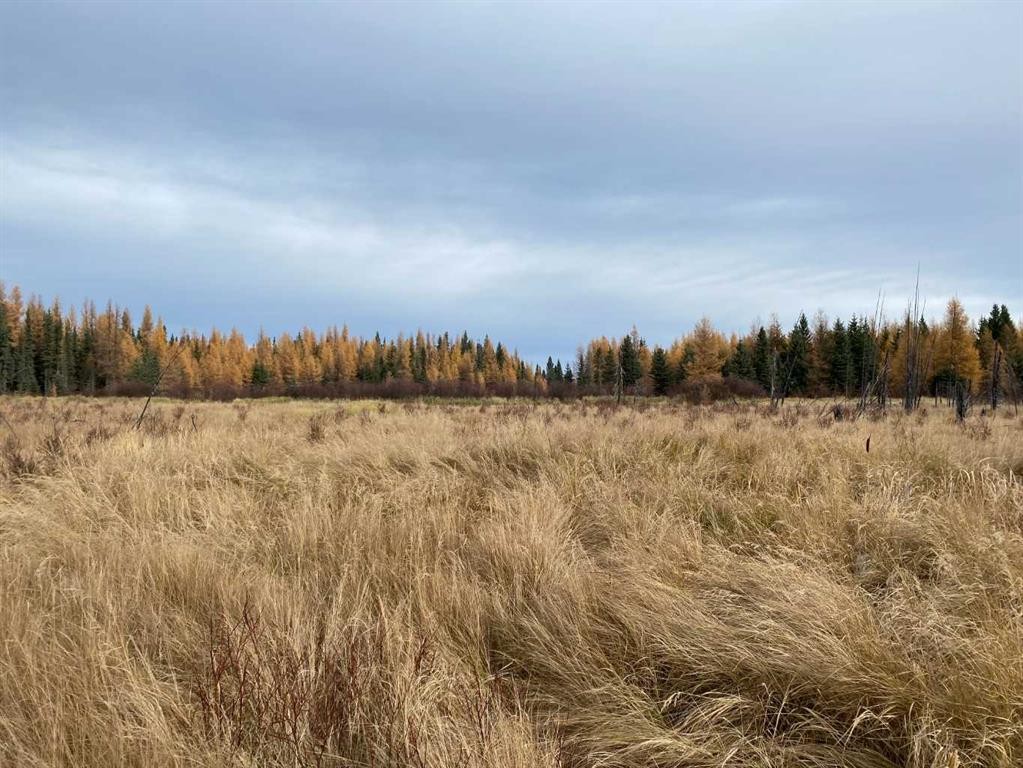 Nw-4-54 -17-W5, Rural Yellowhead County, AB