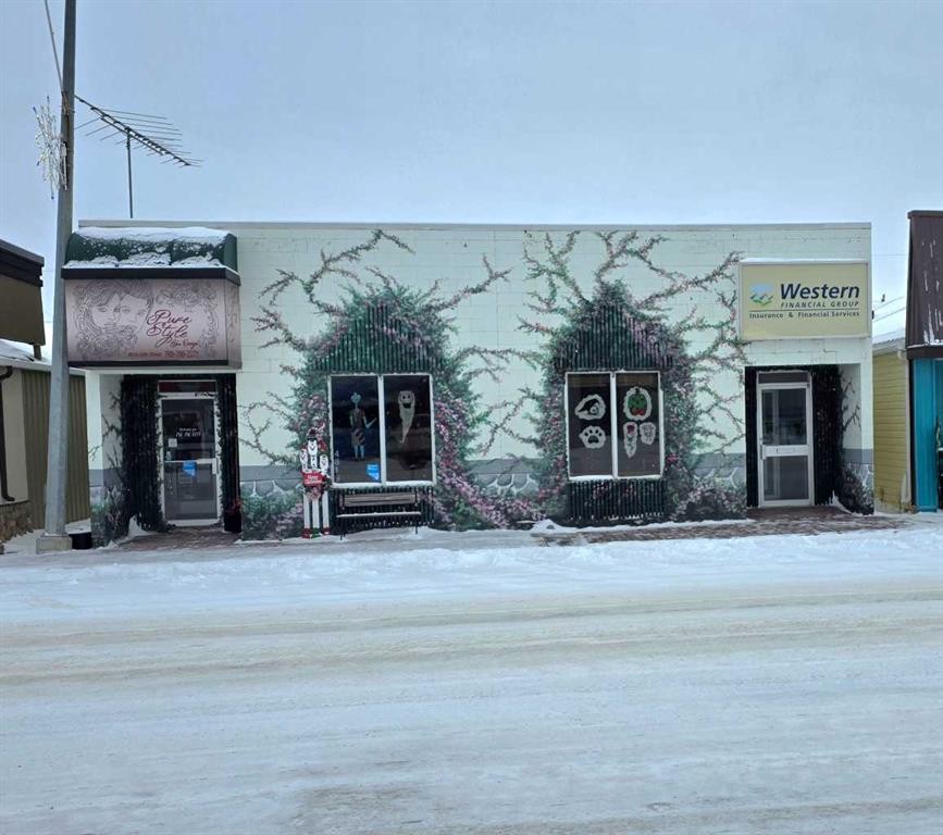 4817 50 Street, Mayerthorpe, AB