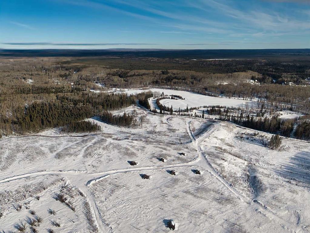 0424251;1;3, Rural Lesser Slave River No. 124, M.D. Of, AB