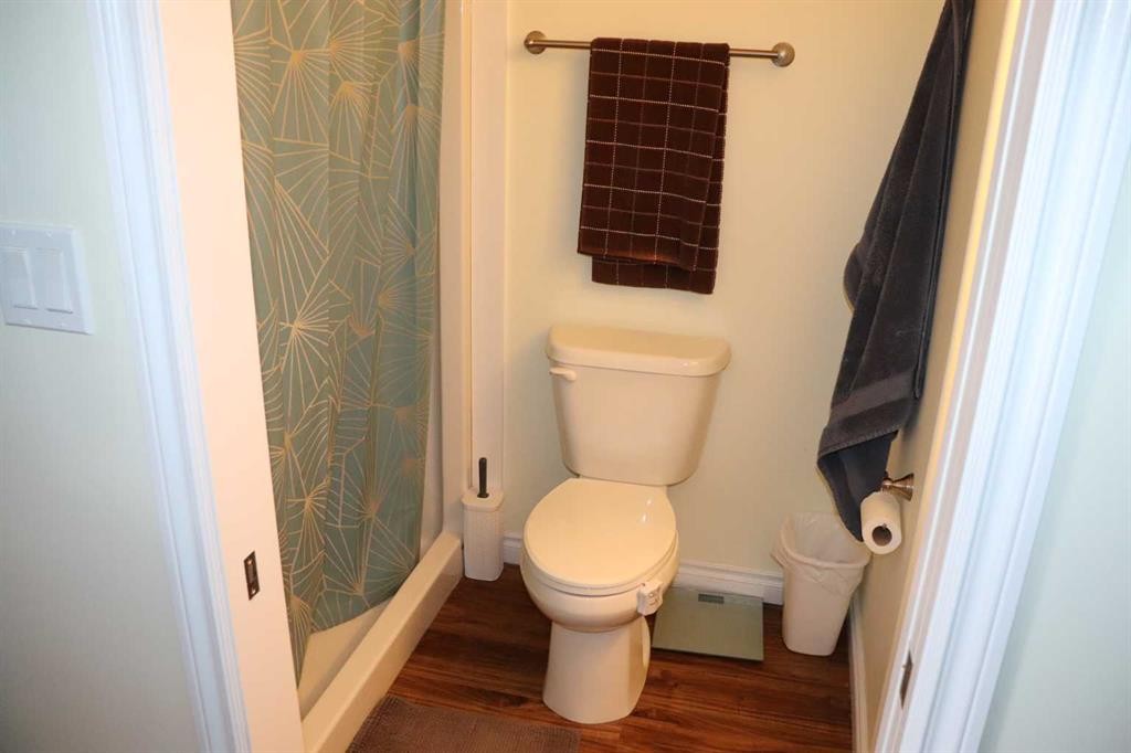 54019C Range Road 165, Rural Yellowhead County, AB - Indoor Photo Showing Bathroom