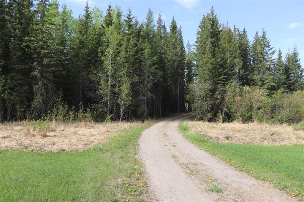 54019C Range Road 165, Rural Yellowhead County, AB - Outdoor With View