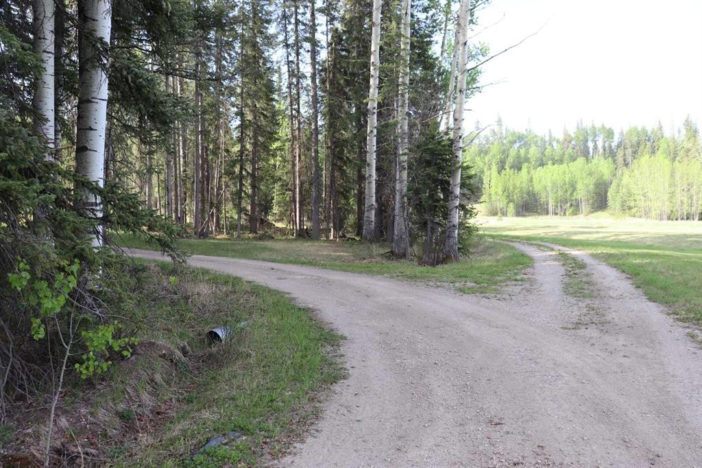 54019C Range Road 165, Rural Yellowhead County, AB - Outdoor With View