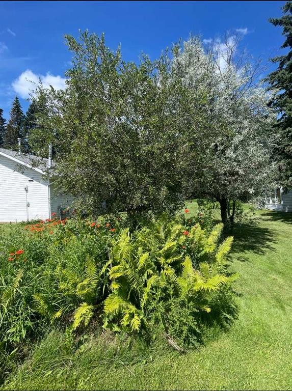 87, 231054 Township Road 623A, Rural Athabasca County, AB - Outdoor