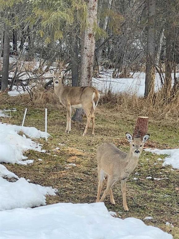 87, 231054 Township Road 623A, Rural Athabasca County, AB - Outdoor With View