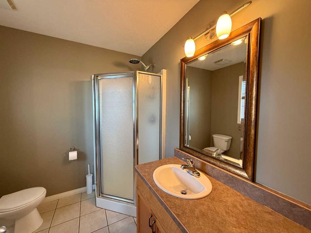294 Tocher Avenue, Hinton, AB - Indoor Photo Showing Bathroom