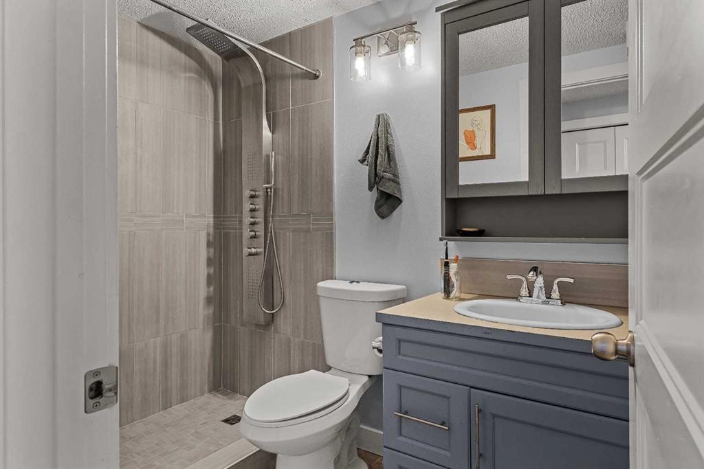 2-630 3Rd Street, Canmore, AB - Indoor Photo Showing Bathroom