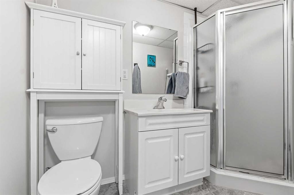 3849 55 Avenue, Whitecourt, AB - Indoor Photo Showing Bathroom