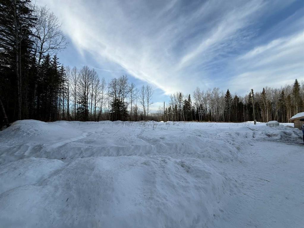 683023 Range Road 231, Rural Athabasca County, AB - Outdoor With View