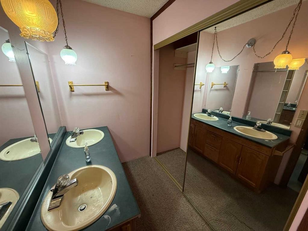 4933 Centre Street, Brule, AB - Indoor Photo Showing Bathroom