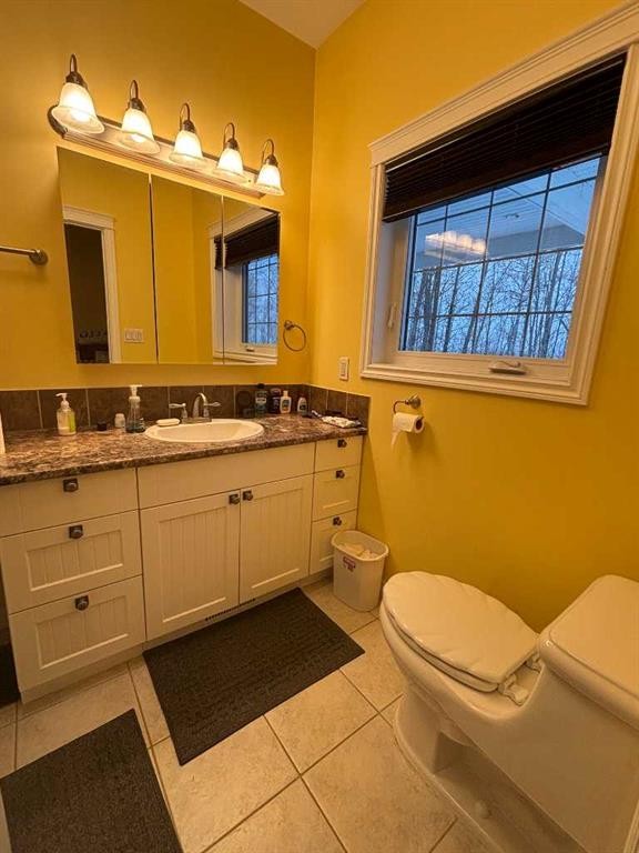 4417 54 St, Athabasca, AB - Indoor Photo Showing Bathroom