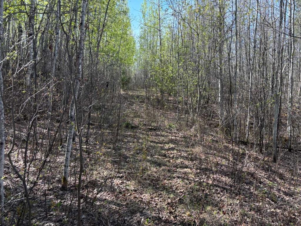 Pt-Se-15-65-22-W4, Rural Athabasca County, AB