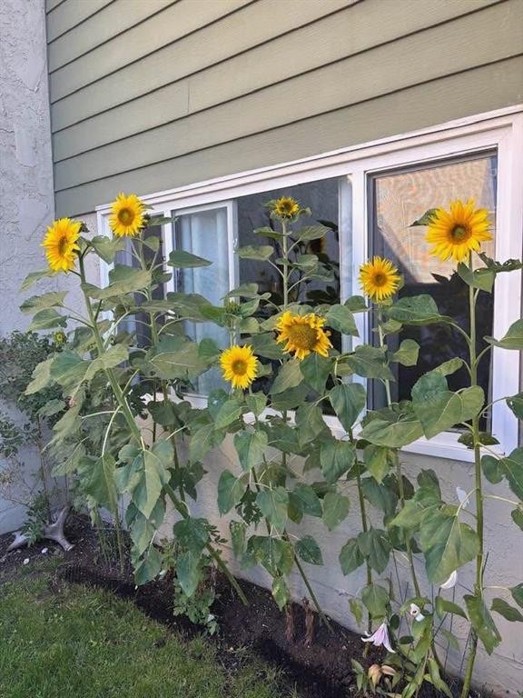 53-101 Mill Street, Hinton, AB - Outdoor