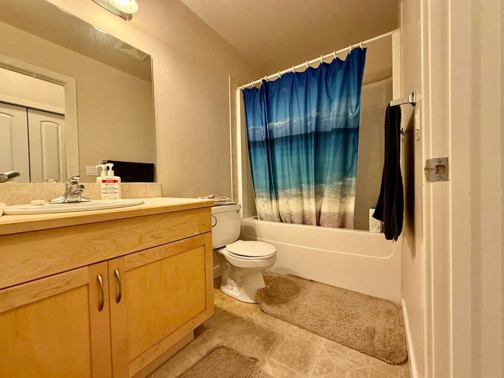 102-109 Seabolt Drive, Hinton, AB - Indoor Photo Showing Bathroom
