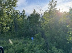 8 Buffalo Drive Rural Stettler No. 6, County Of, AB T0C 3B0