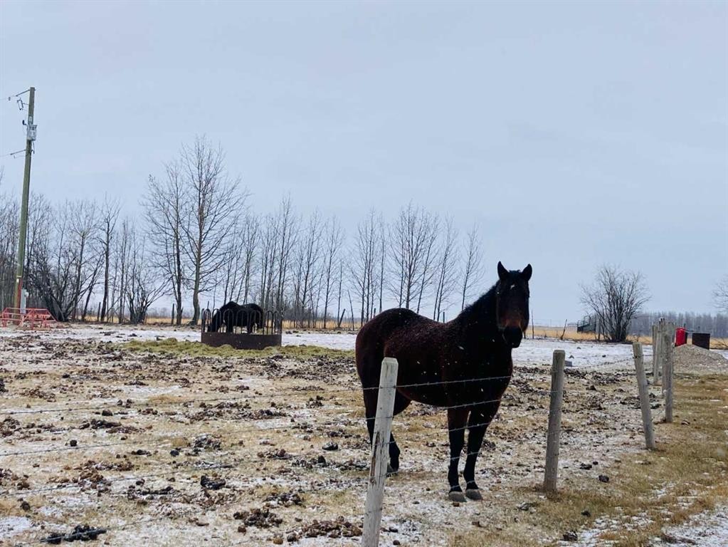 56120 Range Road 93, Mayerthorpe, AB - Outdoor With View