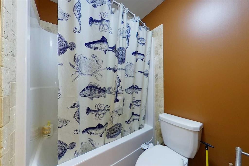 10 Parkdale Way Se, Slave Lake, AB - Indoor Photo Showing Bathroom