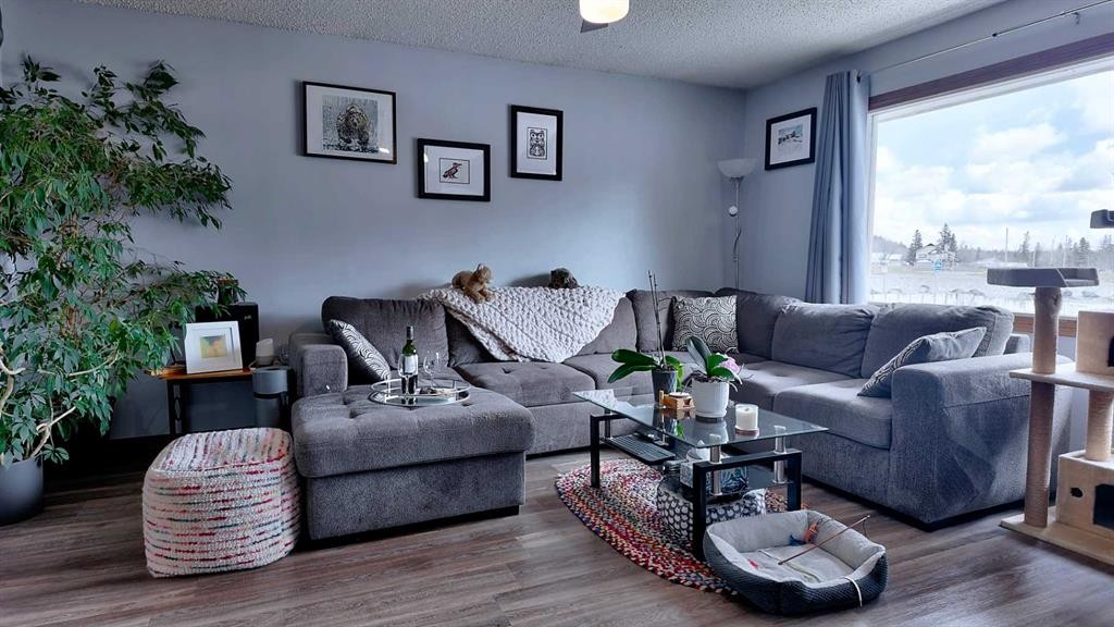 23 Mt Allen Drive, Exshaw, AB - Indoor Photo Showing Living Room