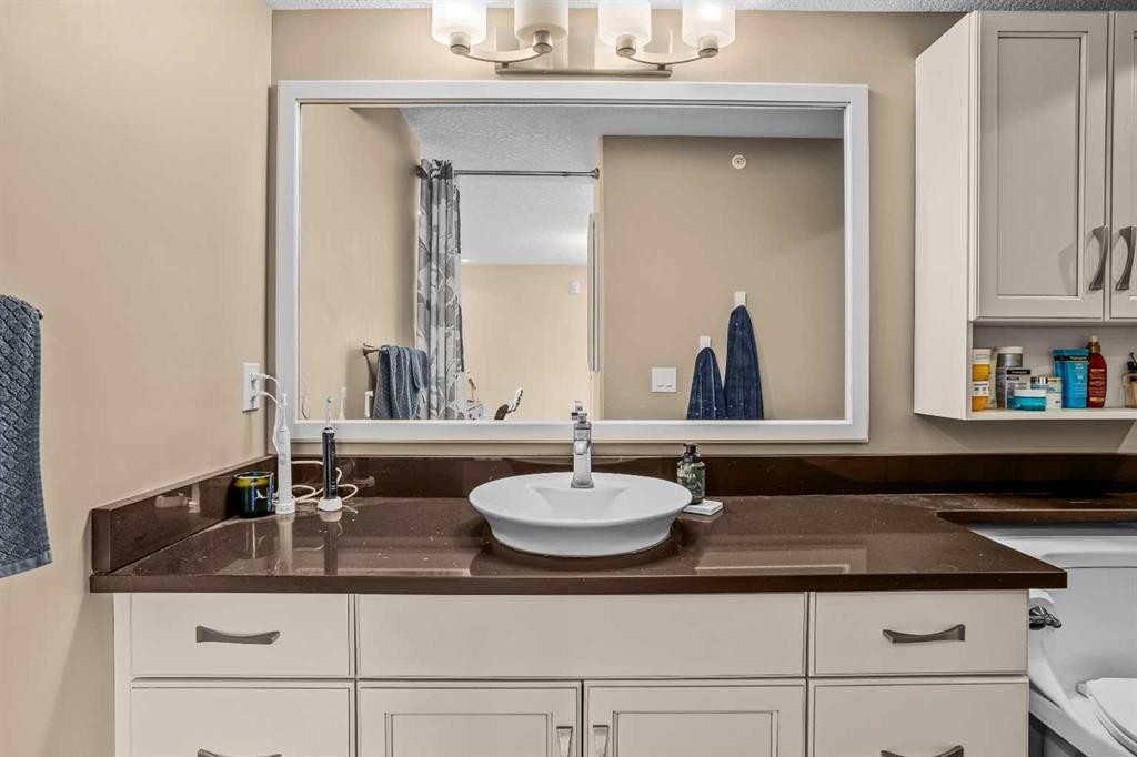 302-2100A Stewart Creek Drive, Canmore, AB - Indoor Photo Showing Bathroom