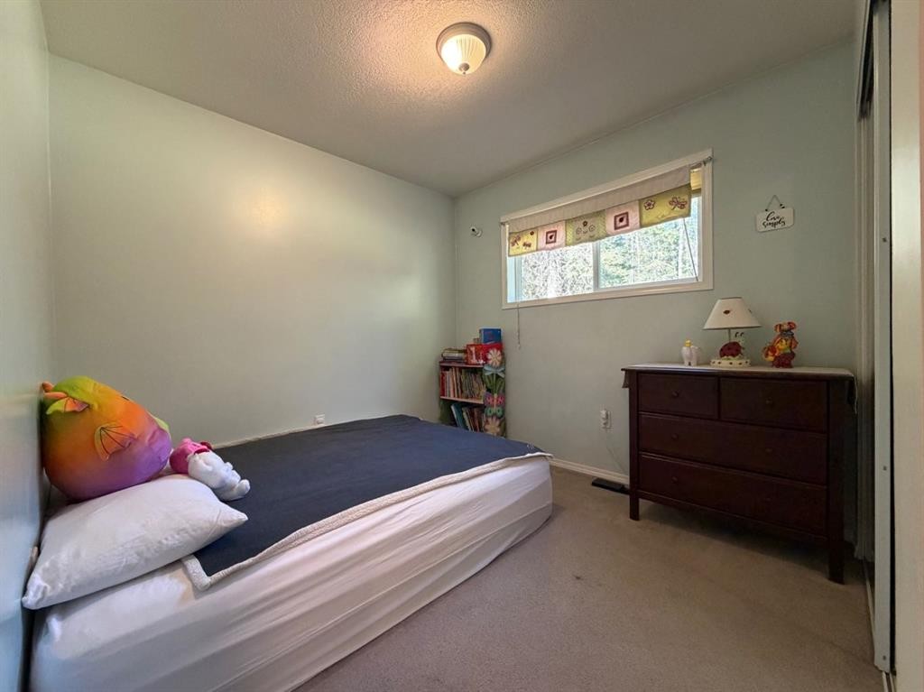 53404A Highway 748 E, Rural Yellowhead County, AB - Indoor Photo Showing Bedroom