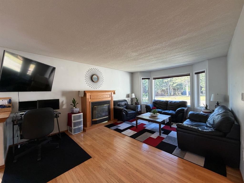 53404A Highway 748 E, Rural Yellowhead County, AB - Indoor Photo Showing Living Room With Fireplace