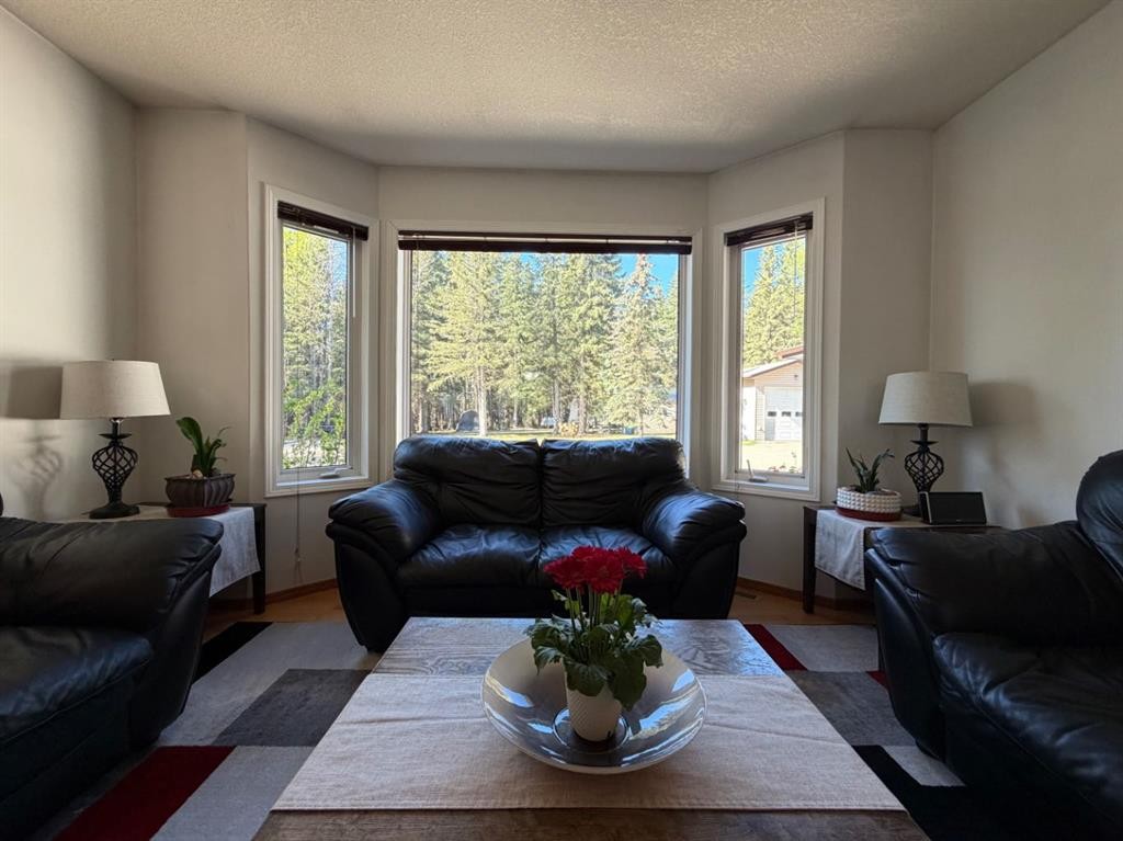 53404A Highway 748 E, Rural Yellowhead County, AB - Indoor Photo Showing Living Room