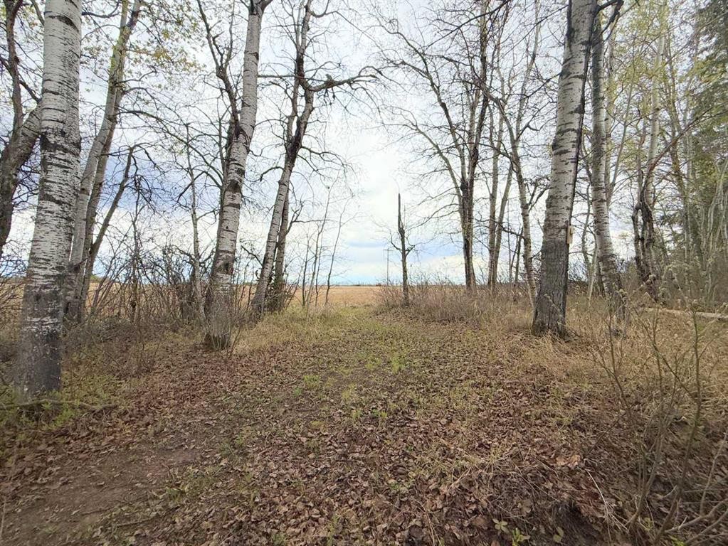 682001A Range Road 222.9, Rural Athabasca County, AB - Outdoor With View