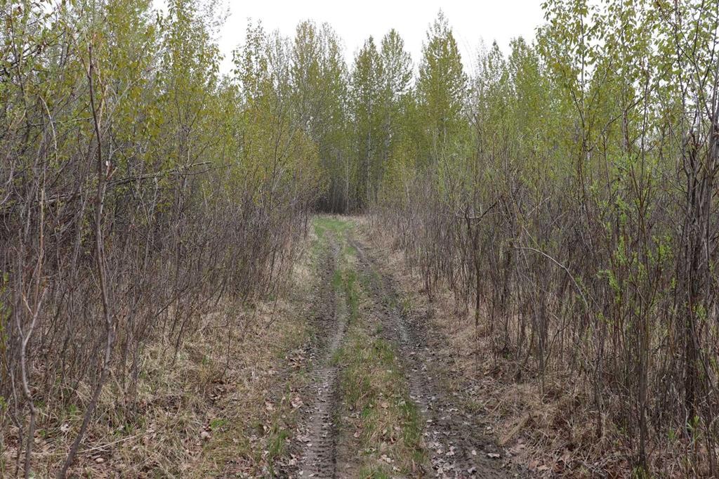 54525 Range Road 142B, Rural Yellowhead County, AB - Outdoor With View
