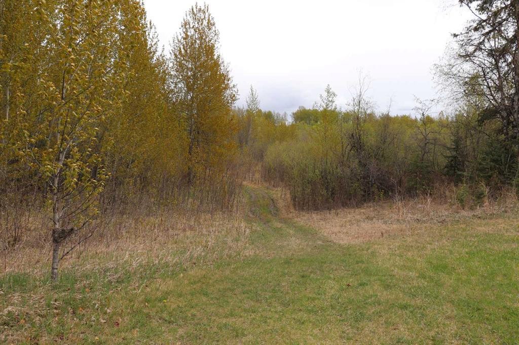 54525 Range Road 142B, Rural Yellowhead County, AB - Outdoor With View