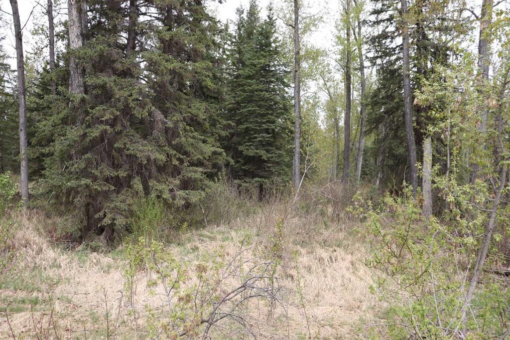 54525 Range Road 142B, Rural Yellowhead County, AB - Outdoor With View