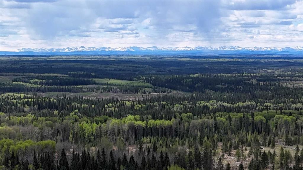 1-53018 Range Rd 175, Rural Yellowhead County, AB - Outdoor With View