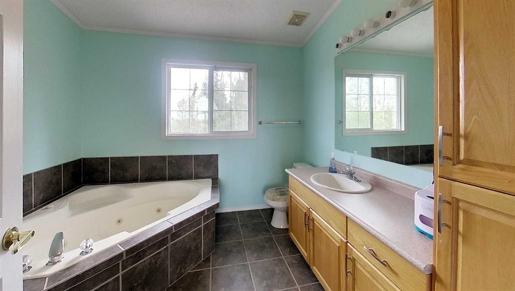 1-53018 Range Rd 175, Rural Yellowhead County, AB - Indoor Photo Showing Bathroom