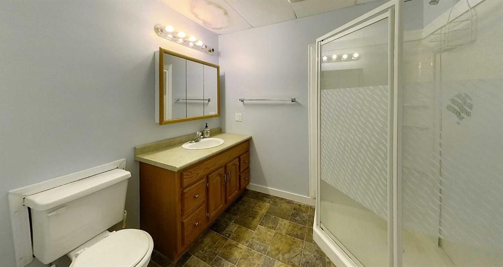 1-53018 Range Rd 175, Rural Yellowhead County, AB - Indoor Photo Showing Bathroom