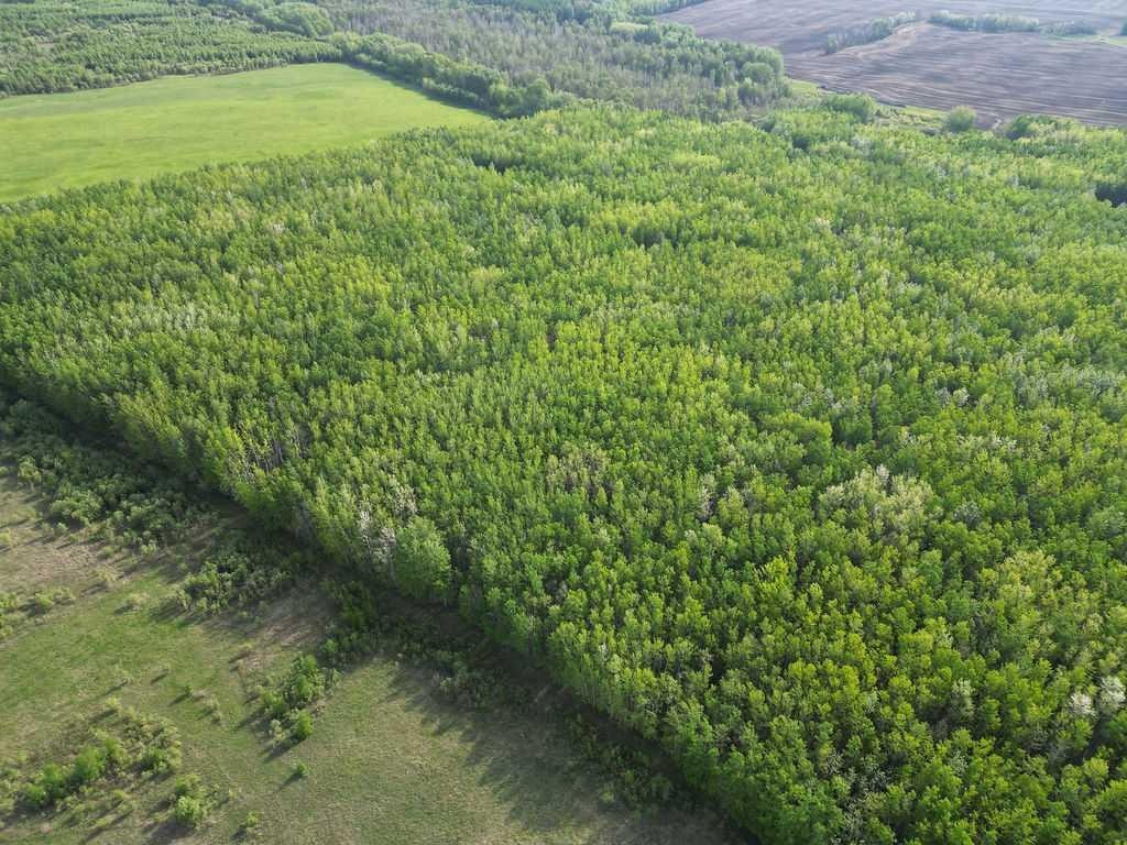 643011 Range Road 211, Rural Athabasca County, AB
