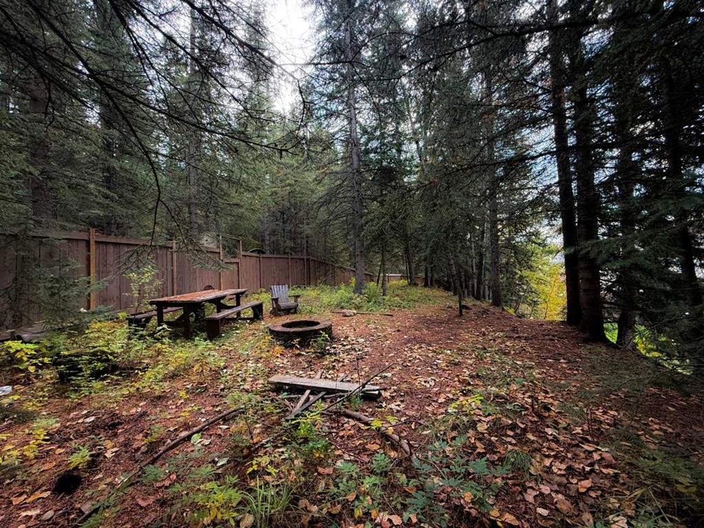 127 Sitar Crescent, Hinton, AB
