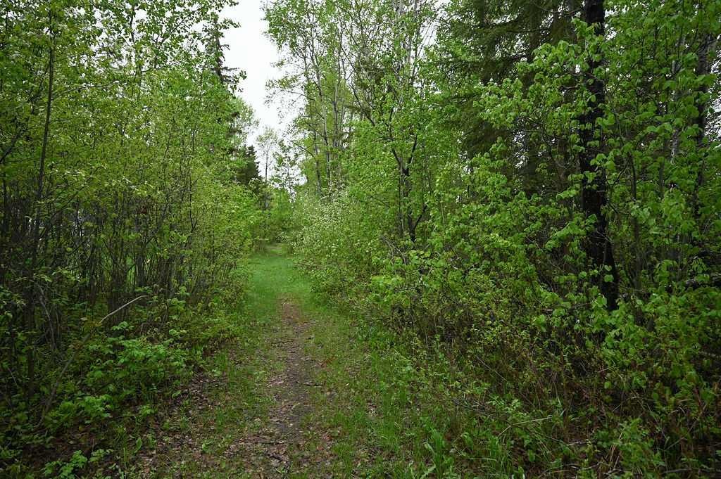 2740 5Th Street Calling Lake Drive, Calling Lake, AB
