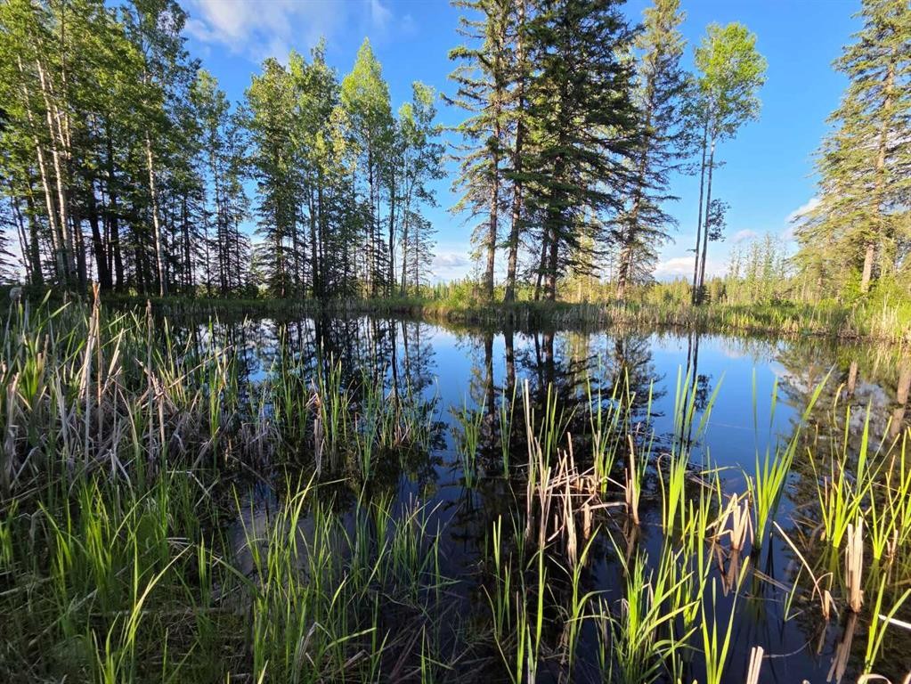 53507 Range Road 172, Edson, AB