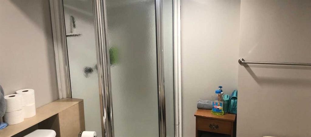 118 Dorin Drive, Hinton, AB - Indoor Photo Showing Bathroom