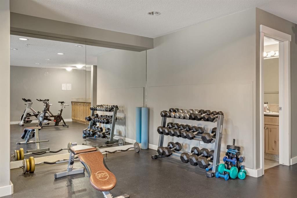 120-300 Palliser Lane, Canmore, AB - Indoor Photo Showing Gym Room